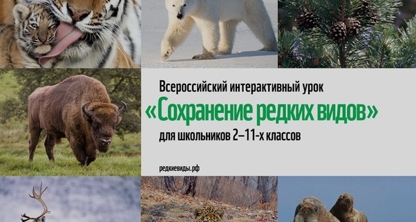 урок1