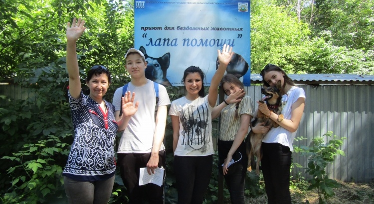 Лапа помощи